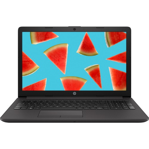 Ноутбук HP 255 G7 (3C248EA)