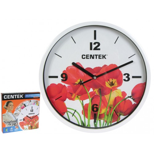 Часы CENTEK  СТ-7102 маки
