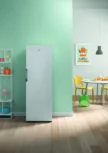 Морозильная камера INDESIT DFZ 5175 G 4