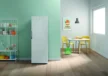 Морозильная камера INDESIT DFZ 5175 G 5