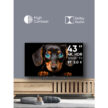 Телевизор TOPDEVICE TDTV43CS06UBK 1
