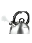 Чайник RONDELL Premiere RDS-237 2