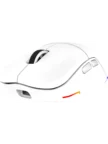 Мышь OKLICK 900GMW 9