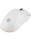 Мышь OKLICK 900GMW 1