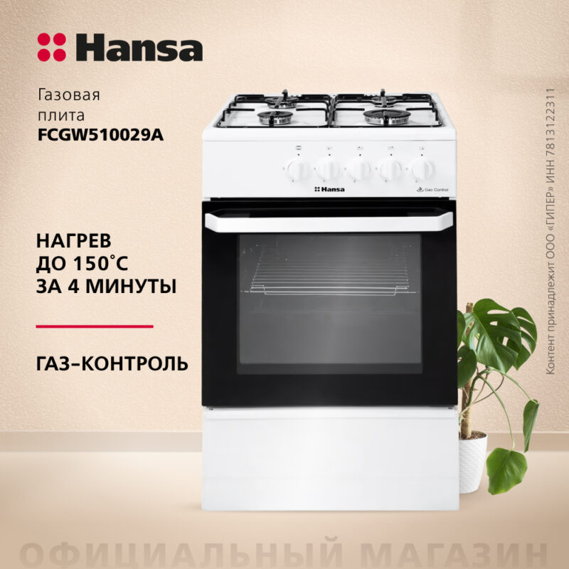 Плита газовая HANSA FCGW510029A 1