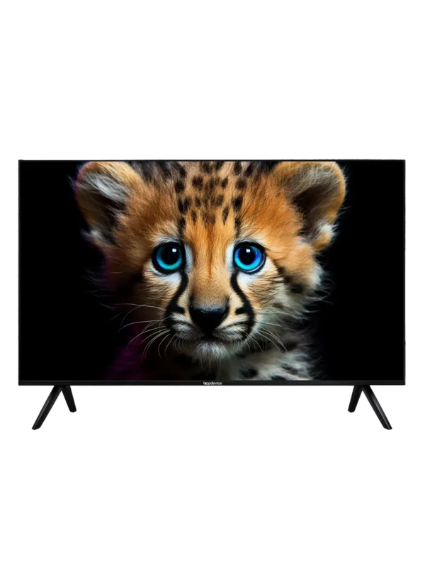 Телевизор TOPDEVICE TDTV55ES13UBK 1