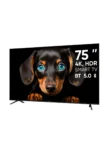 Телевизор TOPDEVICE TDTV75CS06UBK 6