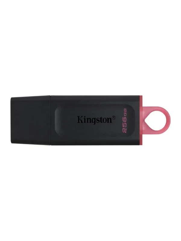 USB Флеш накопитель KINGSTON DataTraveler Exodia 256GB (DTX/256GB) 1