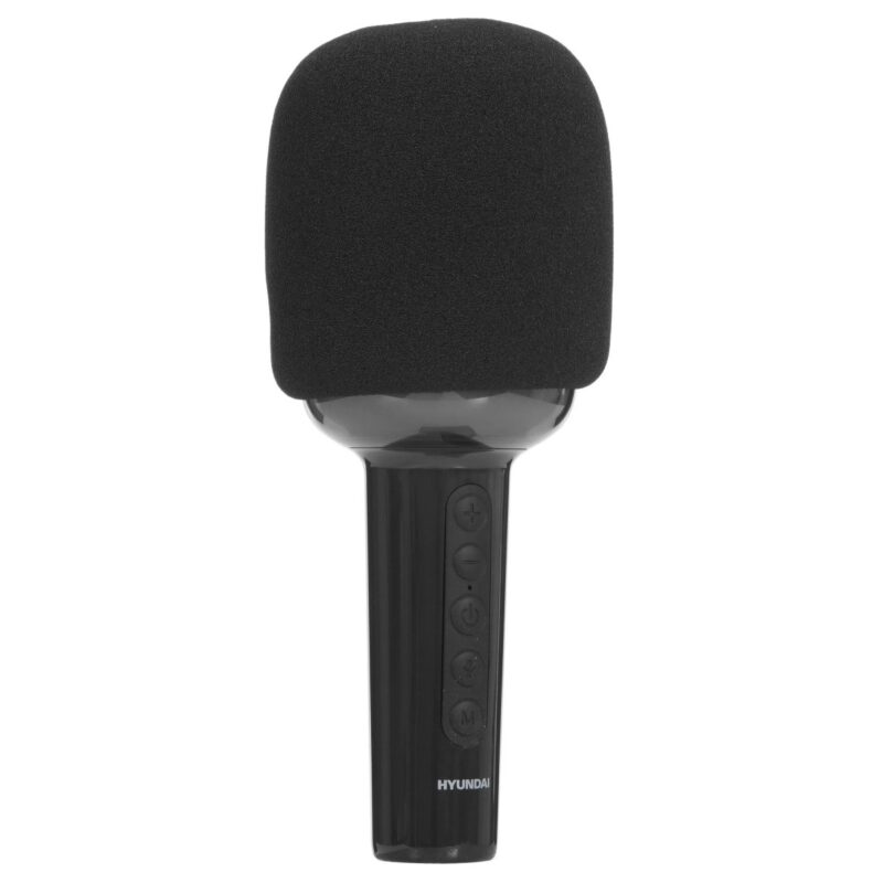 Микрофон HYUNDAI H-MIC100 1